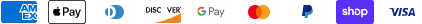 payment-icon